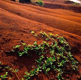 《灵魂骇客2》“召唤师指南Vol.1”公布 战斗基础与同伴“艾罗”