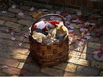 暴雪承认《暗黑破坏神4》洗点费用有点贵，但不会改